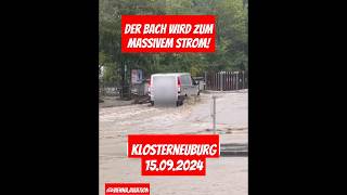 Bach wird zum Massivem Strom Extremes Hochwasser in Klosterneuburg flood viralvideo hochwasser [upl. by Perkins49]