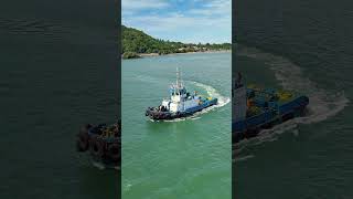 Tug boat in action  Tug harbour shorts shortsfeed ship boat ocean harbour pilotboat [upl. by Amuwkuhc]