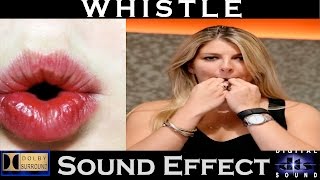 Human Whistle Sound Effect  Hi Resolution Audio [upl. by Xuerd]