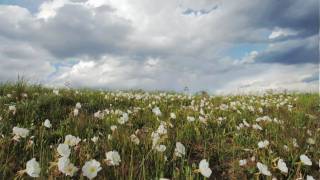 Discover Americas heartland the Great Plains [upl. by Strade]