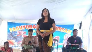 Tanjung mas ninggal janji  New SHERLINA Musik [upl. by Liatrice525]