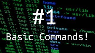 ls cd cat mv cp whoami pwd Basic Bash commands Linux Terminal 101 [upl. by Gennie]