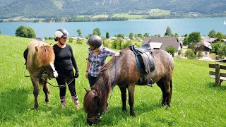 Islandpferde am Reiterhof Suassbauer  Hofgschichtn aus Oberösterreich [upl. by Kimble]