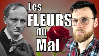 Les FLEURS du MAL  Introduction à la poésie de Baudelaire [upl. by Ainolloppa]