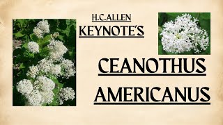 CEANOTHUS AMERICANUSHomeopathic Materia MedicaByquotKEYNOTESquotBHMS keynote homeopathyeducationvlog [upl. by Ynelram]