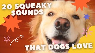 20 Squeaky Sounds that Dogs Love [upl. by Kamillah]