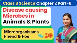 Part 6  Disease Causing Microorganisms in Animals and Plants  Class 8 Science Chapter 2 [upl. by Eidnar427]