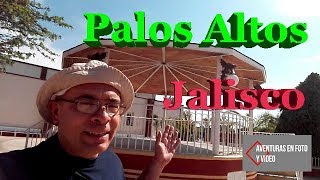 Palos Altos Jalisco [upl. by Thinia499]