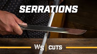 How to Sharpen a Serrated Knife  Use a Honing Steel or Ceramic Hone [upl. by Begga865]