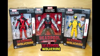 Marvel Legends DEADPOOL amp WOLVERINE and COLOSSUS MOVIE Figures unboxing amp review [upl. by Sabian]