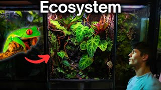 I Made a Jungle Terrarium For a Tiny Frog Here’s How [upl. by Bixler]