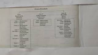 Classification of Bryophytes [upl. by Zena198]