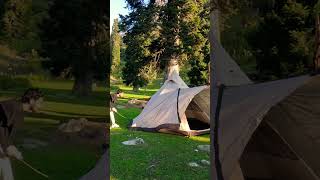 Ultimate Solo Camping Shelter Tips 🏕️🍁💐 solocamping shorts shortsviral shelter [upl. by Falzetta]