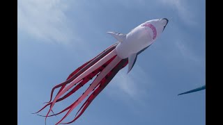 Cape Fear Kite Festival 2024 [upl. by Vasileior]