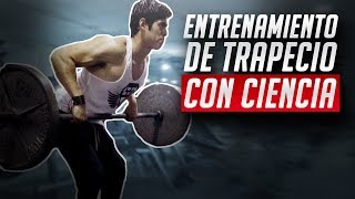 El mejor entrenamiento de trapecio  CIENTÍFICAMENTE COMPROBADO [upl. by Prudy]