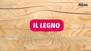 Il legno [upl. by Earissed]