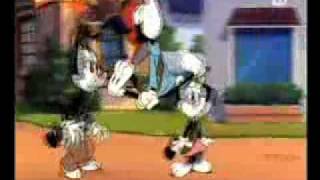 Animaniacs  Cookies song Dutch [upl. by Bartram]