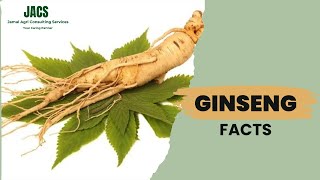 Ginseng Facts  Health Benefits amp Uses [upl. by Hylan]