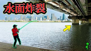 ペンシルベイトを思いっきり投げまくった結果…。【大阪】 [upl. by Byram]