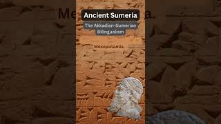 The Akkadian Sumerian Bilingualism education history shorts [upl. by Tsan]