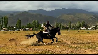 Horseback Archery Tengribowscom [upl. by Xonel]