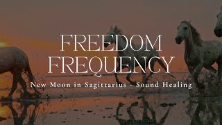 FREEDOM FREQUENCY  New Moon In Sagittarius  Sound Healing  528hz [upl. by Neeuq]