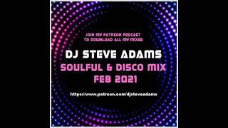 Soulful amp Disco Mix Feb 2021 [upl. by Lehteb]