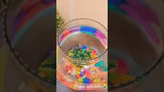 Fish pot🐠🐟 like fishpot viralvideo youtubeshorts please subscribetomychannel😭🙏🏻🙏🏻🙏🏻😭😭😭 [upl. by Abas]