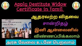 ஆதரவற்ற விதவை சான்றிதழ் Destitute Widow Certificate in Tamil 2024 [upl. by Rochester]