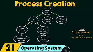 Operation on Processes – Process Creation [upl. by Teraj]