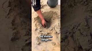 IM SAND GRABEN um einen SCHATZ ZU FINDEN 😱 [upl. by Airamzul]