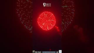 Top 6 most beautiful FIREWORKS shells 2024 shorts fireworks experiment pyro [upl. by Annaeirb]