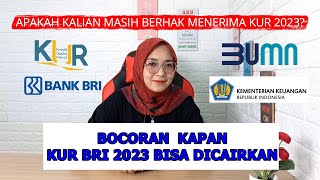 BOCORAN KAPAN KUR AKAN DIBUKA amp PENEGASAN PREDIKSI ATURAN KUR BRI 2023 [upl. by Yenots]