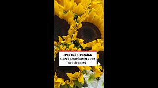 ¿Por qué se regalan flores amarillas el 21 septiembre [upl. by Flynn]