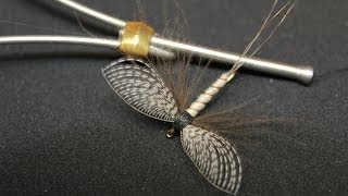 Spent Mayfly with Wally wing dry fly [upl. by Limbert423]