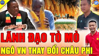 🔴Công Giáp Team Quang Linh Vlogs THÀNH QUẢ NÔNG NGHIỆP SIÊU KHỦNG ÙN ÙN VỀ BẢN LÀNG CHÂU PHI [upl. by Buna725]