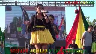 STEFANY AGUILAR Y LAS SABROSITAS NO VOLVERE A AMARVAUSA2015 [upl. by Avram182]