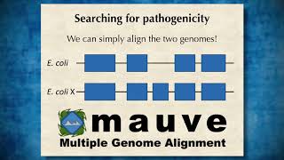 Genome Assembly 3 Assembling genomes from sequence data [upl. by Brana]