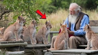 Little Lynx Cubs Surround Man Just Watch What Happens Next Its Unbelievable [upl. by Akers]