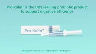 Protexin ProKolin  Digestive Health Drive [upl. by Phi]