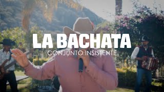 La Bachata  Conjunto Insistente Live [upl. by Nandor]