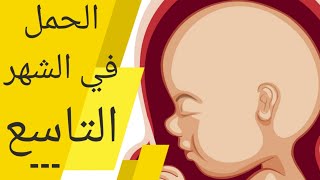 الحمل في الشهر التاسع alhaml fi chahr 9  الجنين في الشهر التاسع  اعراض الحمل في الشهر التاسع [upl. by Hakvir]