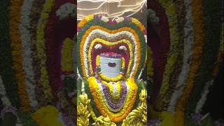 omnamahshivaya karthikapournami pillalamarri [upl. by Katt]