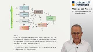 Ökologie des Wassers 82 Nahrungsnetze fressen und gefressen werden [upl. by Nospmis]