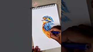 Lets sketch with us Colour sketching 🎨🖌 art rongmoshal drawing rongpencil shorts [upl. by Kelwen738]