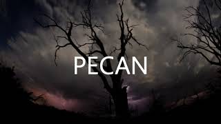 PECAN Teaser Trailer [upl. by Brande]