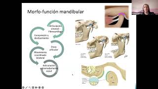 Trastornos temporomandibulares Diplomado “Odontología en Medicina de Sueño” [upl. by Rriocard]