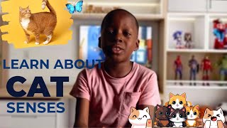 CAT Senses for Kids with JAYDEN  Fun amp Educational Compilation  Learn about Cat [upl. by Plunkett692]