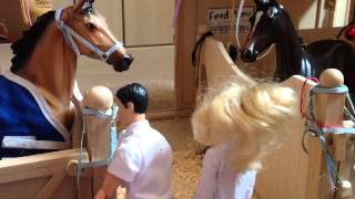 Breyer Horse Series quotLifequot Ep 1 [upl. by Eedia]