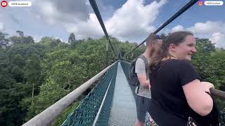 Macritchie Reservoir Trail  singapore 🇸🇬  MZR Kashmir  Walk 🚶‍♀️ [upl. by Suirrad]